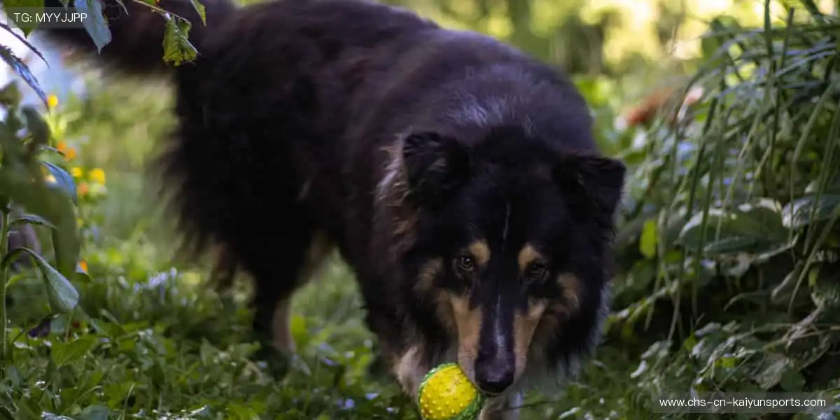 装备控的终极殿堂，潮流与品质兼备！